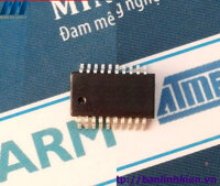 TTP224N-ASD SSOP20 IC TOUCH PAD                                               Yêu thích