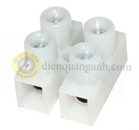 TTT10-098 – Domino nhựa rời 8mm²