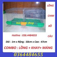 [TTT123] COMBO 5 LỒNG NUÔI CHIM BỒ CÂU KÈM KHAY PHÂN VÀ MÁNG NƯỚC-PHỤ KIỆN NUÔI CHIM BỒ CÂU GIÁ RẺ