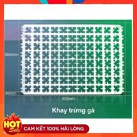 [TTT123] KHAY ẤP TRỨNG CHIM BỒ CÂU-KHAY NHỰA ẤP TRỨNG-KHAY ĐỰNG TRỨNG CHIM-KHAY ẤP TRỨNG CHO CHIM VÀ GÀ