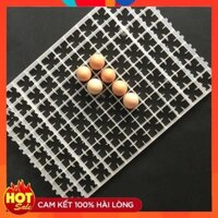 [TTT123] KHAY ẤP TRỨNG-KHAY ĐỰNG TRỨNG BẰNG NHỰA-KHAY ẤP TRỨNG GÀ-KHAY ĐỰNG TRỨNG CHIM GIÁ RẺ