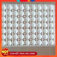 [TTT123] KHAY NHỰA ẤP TRỨNG CHO CHIM-KHAY ẤP TRỨNG CHO GÀ-KHAY ẤP TRỨNG-KHAY NHỰA ĐỰNG TRỨNG