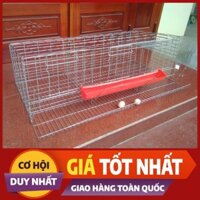 [TTT123] LỒNG NUÔI GÀ ĐẺ KÈM MÁNG ĂN-CHUỒNG NUÔI GÀ-LỒNG NUÔI GÀ ĐẺ CÔNG NGHIỆP-PHỤ KIỆN ĂN UỐNG CHO GÀ