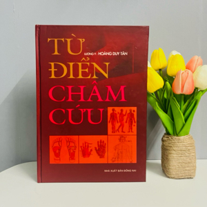 từ điển châm cứu
