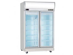 Tủ đông Berjaya 2 cánh 976 lít 2D/DF-SM-EV