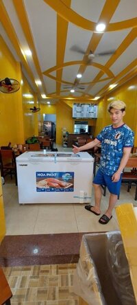 Tủ đông 2 ngăn đông mát 600l Tủ BĐ6245