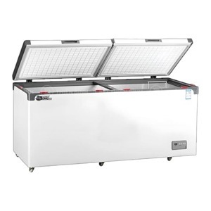 Tủ đông Snow Village inverter 798 lít BD/BC-798