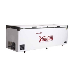 Tủ đông Snow Village inverter 798 lít BD/BC-798