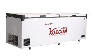 Tủ đông Snow Village inverter 798 lít BD/BC-798