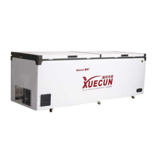 Tủ đông Snow Village inverter 798 lít BD/BC-798