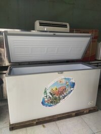 Tủ đông Acson 560L mới 90% - Điện lạnh - Điện máy Khoa X