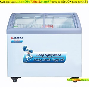 Tủ đông Alaska 1 ngăn 400 lít SC-401Y