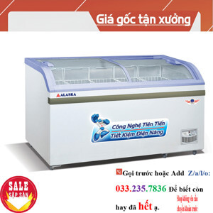 Tủ đông Alaska 1 ngăn 600 lít SC-601B