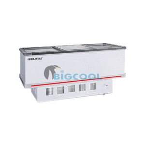 Tủ đông Berjaya 1 ngăn 718 lít BJY-IFGD718