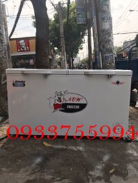 TỦ ĐÔNG CŨ ALASKA 500 LÍT