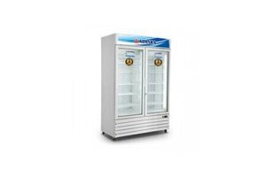 Tủ đông Alaska 2 cánh 700 lít IF-700G2