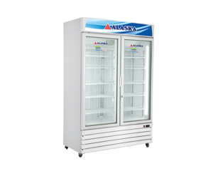 Tủ đông Alaska 2 cánh 700 lít IF-700G2
