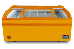 Tủ đông Darling Inverter 1 ngăn 1000 lít DMF-10079ASKI