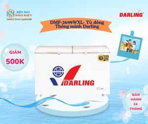 Tủ đông Darling 2 ngăn 270 lít DMF-2699WXL