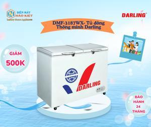 Tủ đông Darling 2 ngăn 310 lít DMF-3187WX