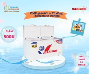 Tủ đông Darling inverter 2 ngăn 470 lít DMF-4699WI