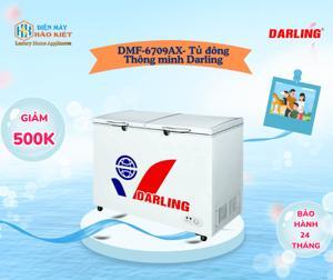Tủ đông Darling 1 ngăn 670 lít DMF-6709 AX