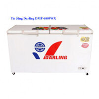 Tủ đông Darling DMF-6809WX