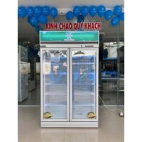 Tủ đông đứng 2 cánh kính trưng bày BAMBOO COOL HPDK-1200D (0967.430.866)