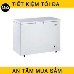 Tủ đông Electrolux 1 ngăn 298 lít ECM2950WA