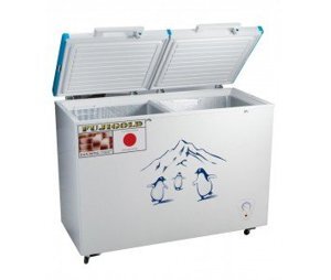 Tủ đông Fujigold 2 ngăn 320 lít FGF-319HBK
