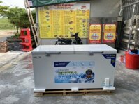 Tủ đông Hòa Phát 1 chế độ đông 544L dài 1,7m X 75cm CS 120W