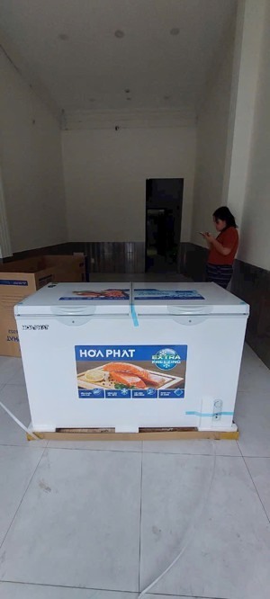 Tủ đông Hòa Phát 2 ngăn 271 Lít HPF BD6271