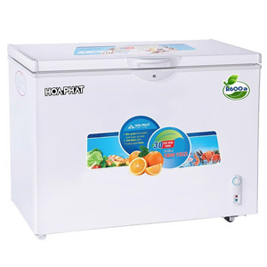 Tủ đông Hòa Phát 1 ngăn 252 lít HPF AD6252