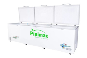 Tủ đông Pinimax inverter 1 ngăn 1300 lít PNM-139AF3