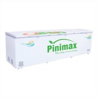 Tủ đông Inverter Pinimax PNM-119AF3