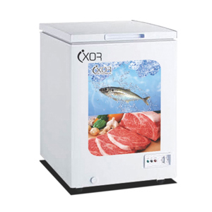 Tủ đông Ixor 1 ngăn 120 lít IXR-128FL