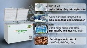 Tủ đông Kangaroo 1 ngăn 192 lít KG-266NC2