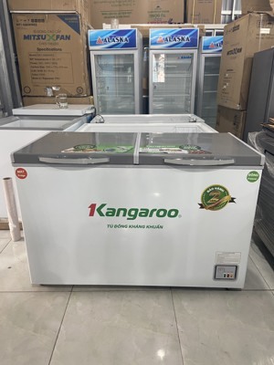 Tủ đông Kangaroo 2 ngăn 327 lít KG498KX2