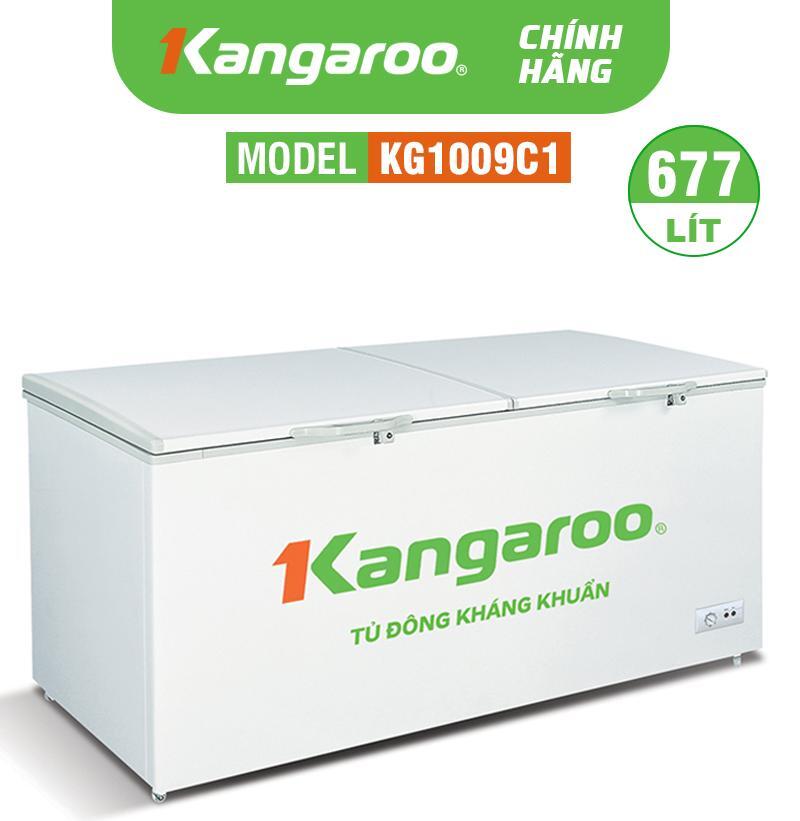Tủ đông Kangaroo 1 ngăn 1000 lít KG1009C1