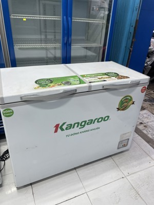 Tủ đông Kangaroo 1 ngăn 400 lít KG400NC2