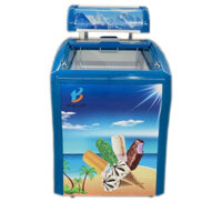 Tủ đông kem Lightcool SD-148Y 148 lít - Hàng chính hãng