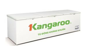 Tủ đông Kangaroo 1 ngăn 1400 lít KG1400A1