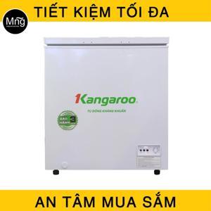 Tủ đông Kangaroo 1 ngăn 235 lít KG235C1