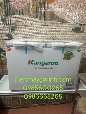 Tủ đông Kangaroo 2 ngăn 252 lít KG398C2