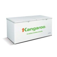 Tủ đông kháng khuẩn Kangaroo KG1009C1