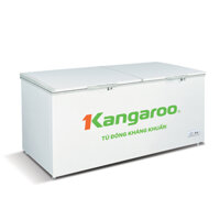 Tủ đông kháng khuẩn Kangaroo KG809C1