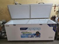 Tủ đông lớn Hoà Phát 1 chế độ đông 6783