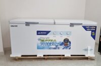 Tủ đông lớn Hoà Phát 1 chế độ 6783
