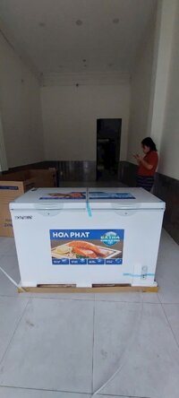 Tủ đông mát 600l Tủ BĐ6245