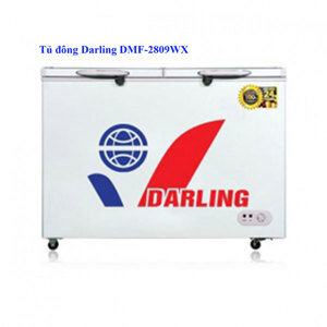 Tủ đông Darling 2 ngăn 230 lít DMF-2809WX